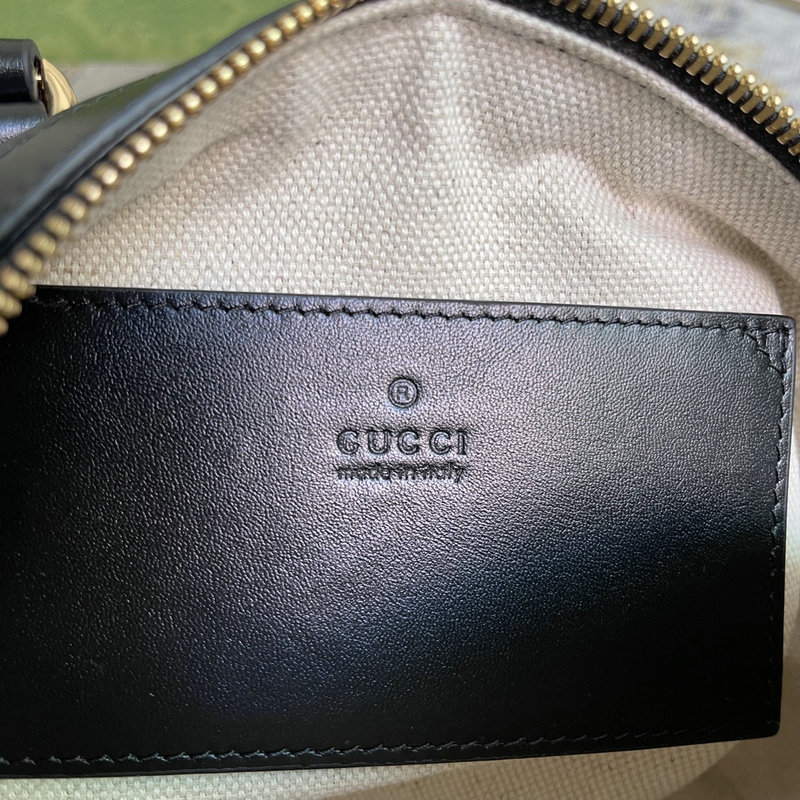 FASH Gucci Bag 2209DJ0027