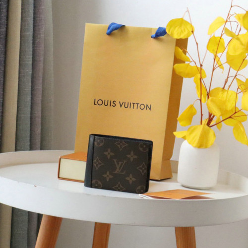 FASH LOUIS VUITTON Bag 2209DJ0081