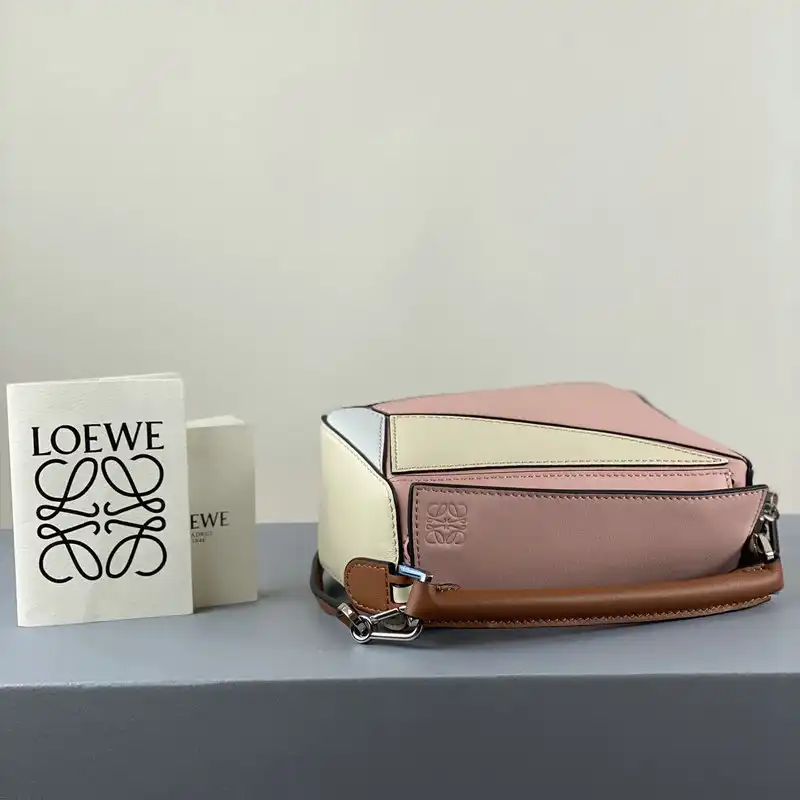 Official Brother Sam Loewe Bag 2209SW0014