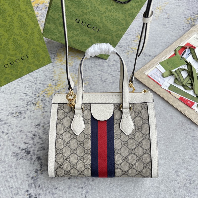 FASH Gucci Bag 2210DJ0027