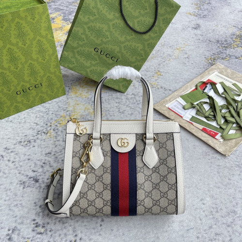 FASH Gucci Bag 2210DJ0027