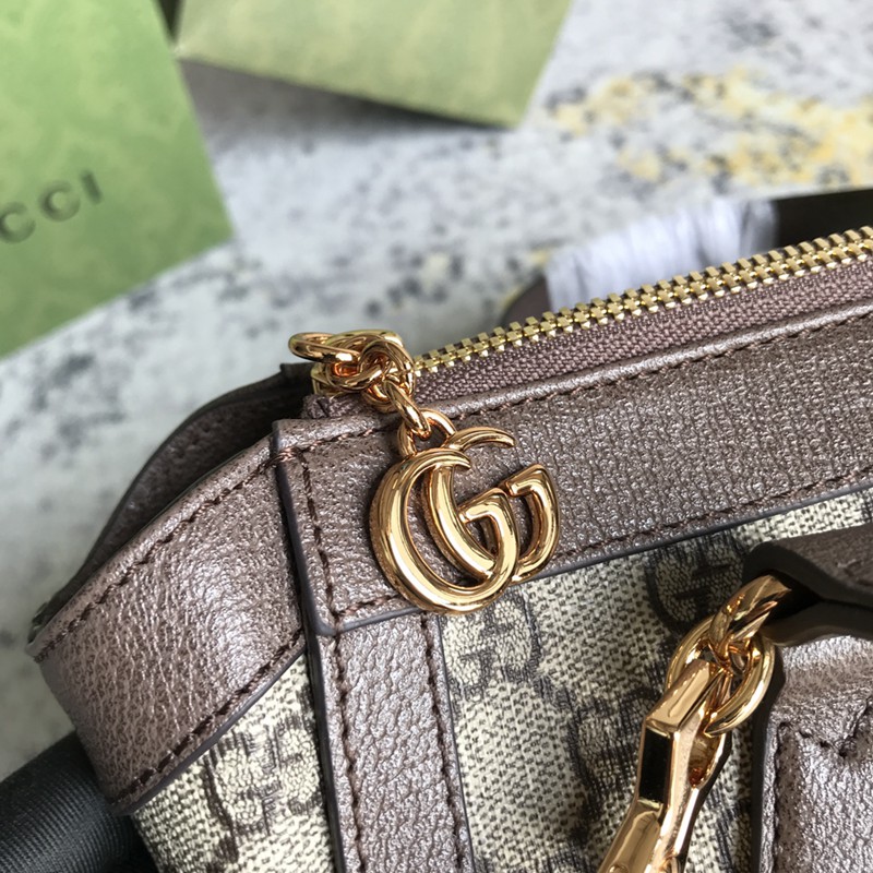 FASH Gucci Bag 2210DJ0028