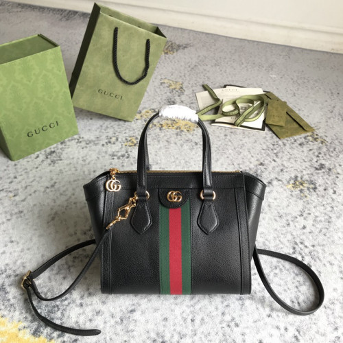 FASH Gucci Bag 2210DJ0030