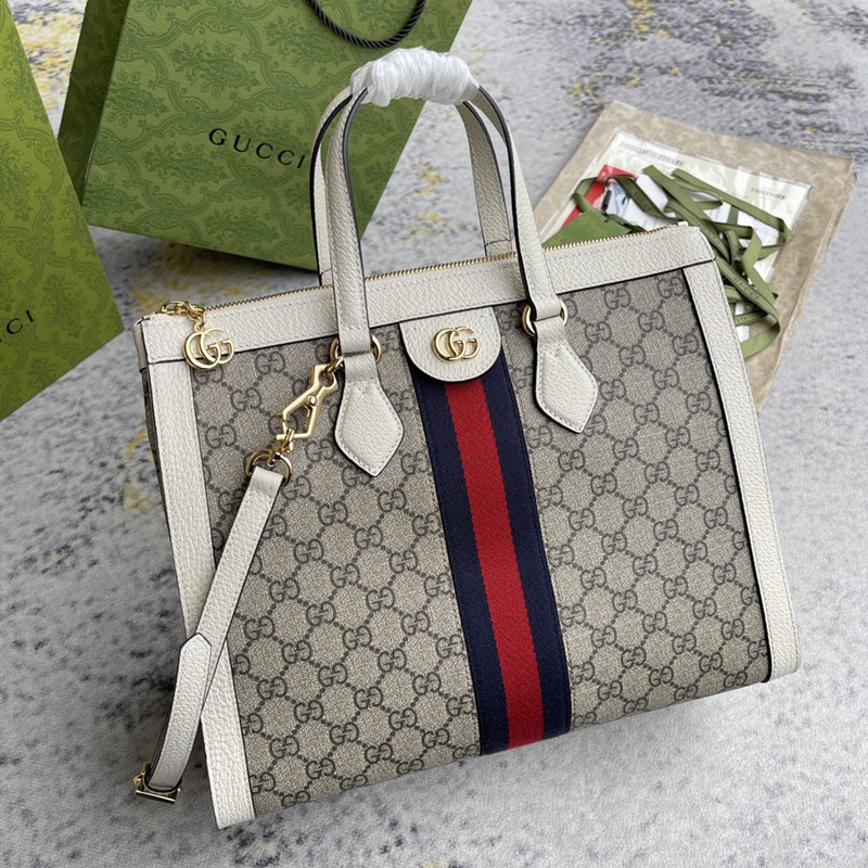 FASH Gucci Bag 2210DJ0031