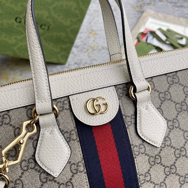 FASH Gucci Bag 2210DJ0031