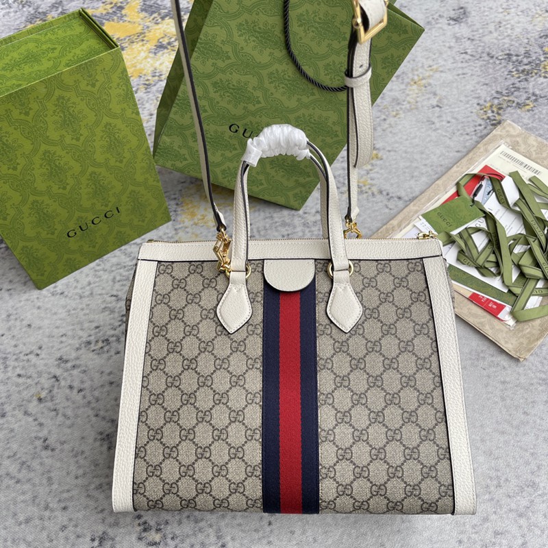 FASH Gucci Bag 2210DJ0031