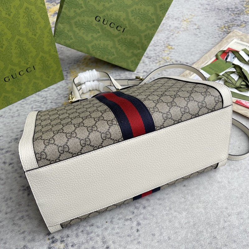 FASH Gucci Bag 2210DJ0031