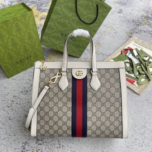 FASH Gucci Bag 2210DJ0031