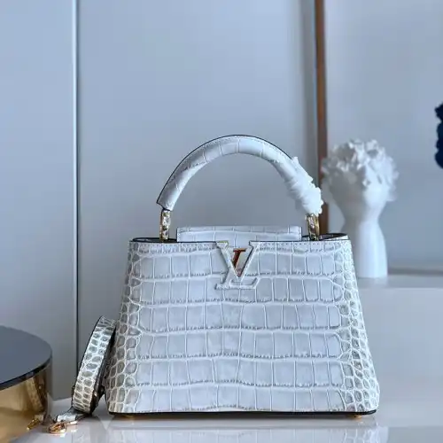 LV Bag 2210YA0129