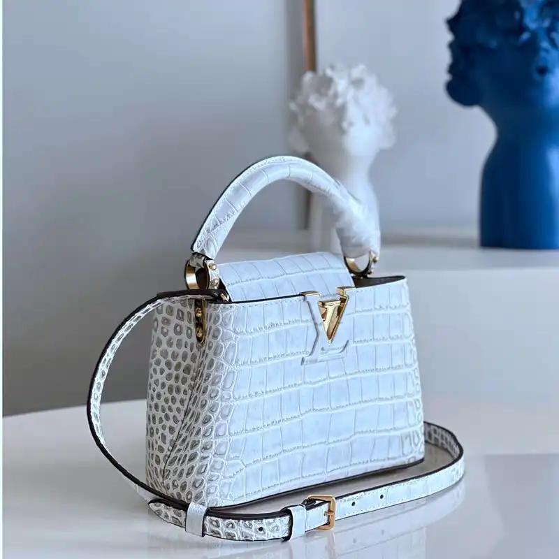 LV Bag 2210YA0130