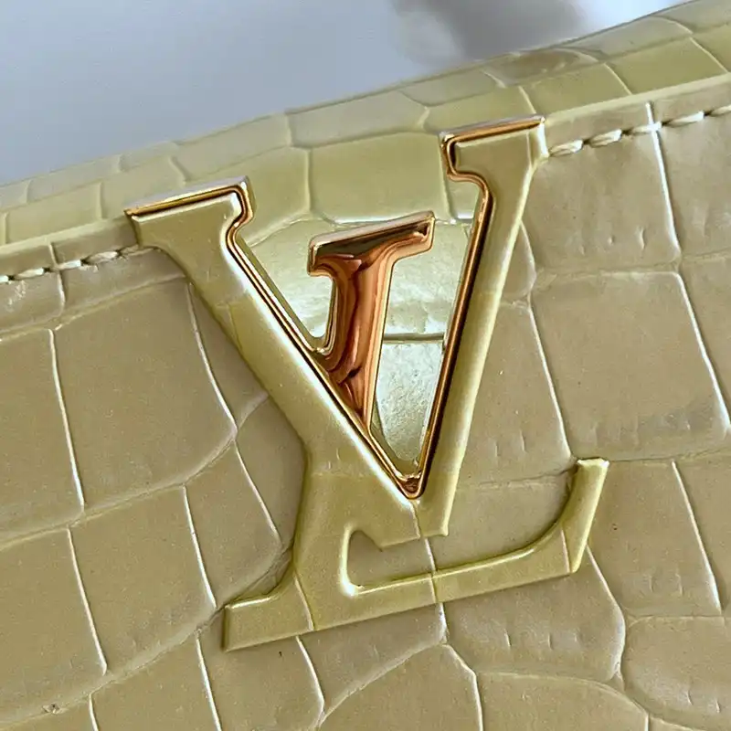 LV Bag 2210YA0135