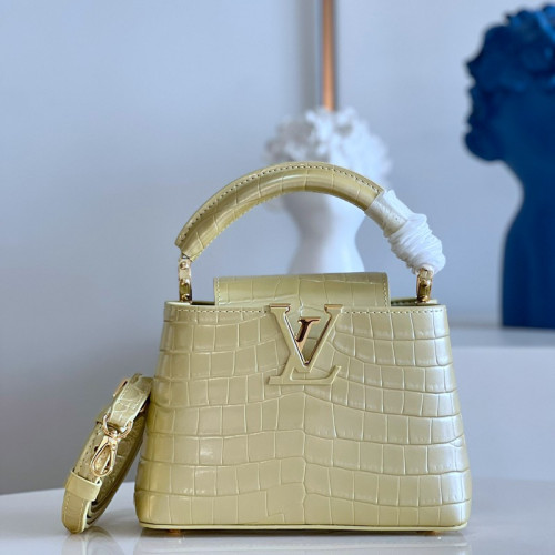 FASH LOUIS VUITTON Bag 2210YA0136