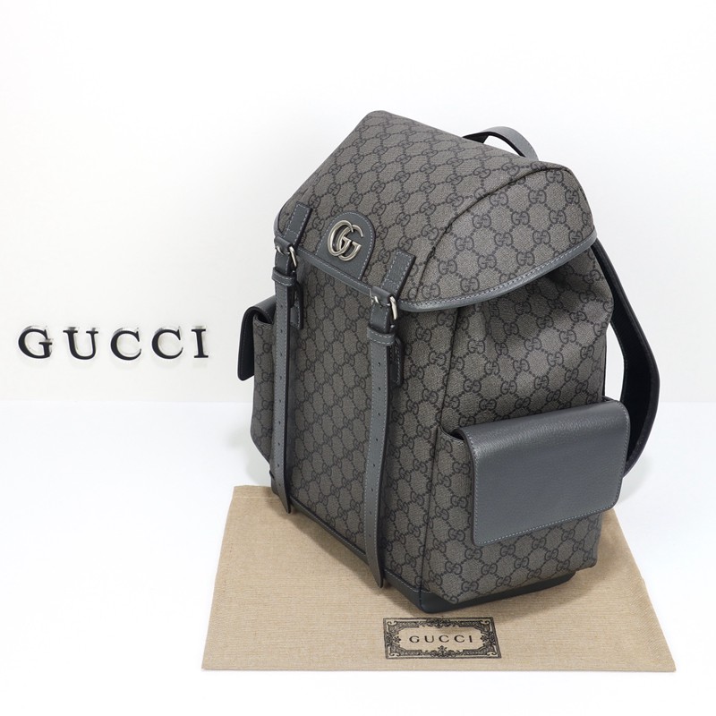 FASH Gucci Bag 2306YA0141