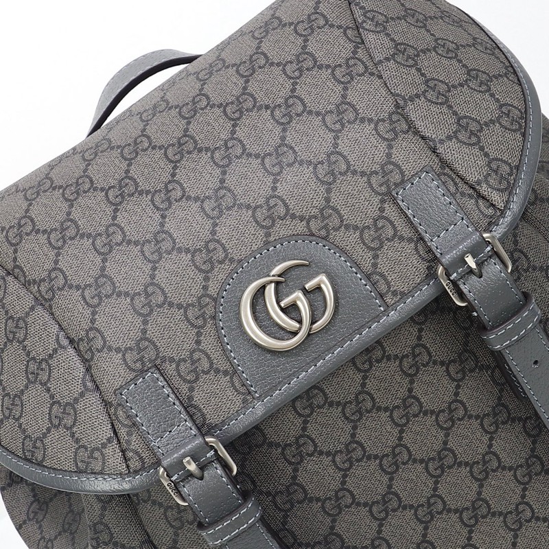 FASH Gucci Bag 2306YA0141