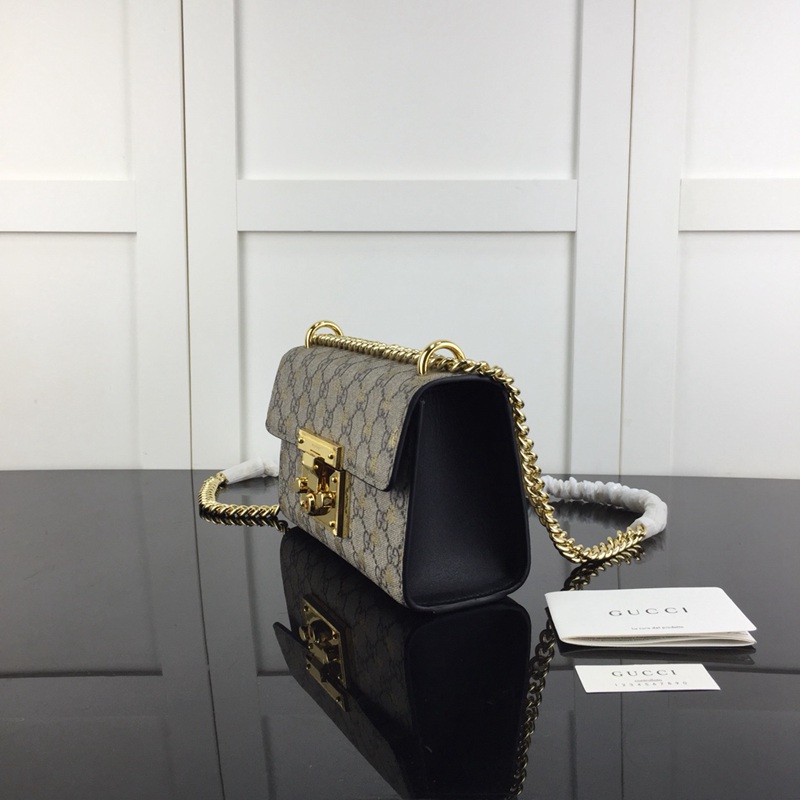 FASH Gucci Bag 2309YA0067