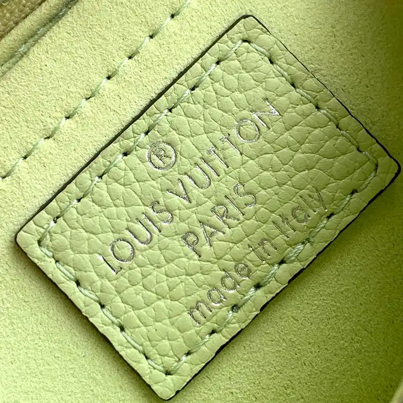 LV Bag 2309YA0095