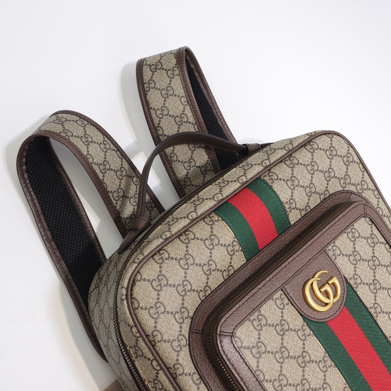 FASH Gucci Bag 2309YA0105