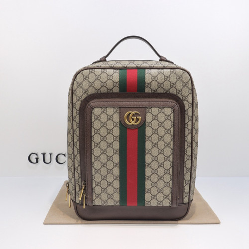 FASH Gucci Bag 2309YA0105