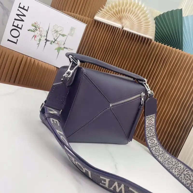 Brother Sam Yupoo Loewe Bag 2309YA0136