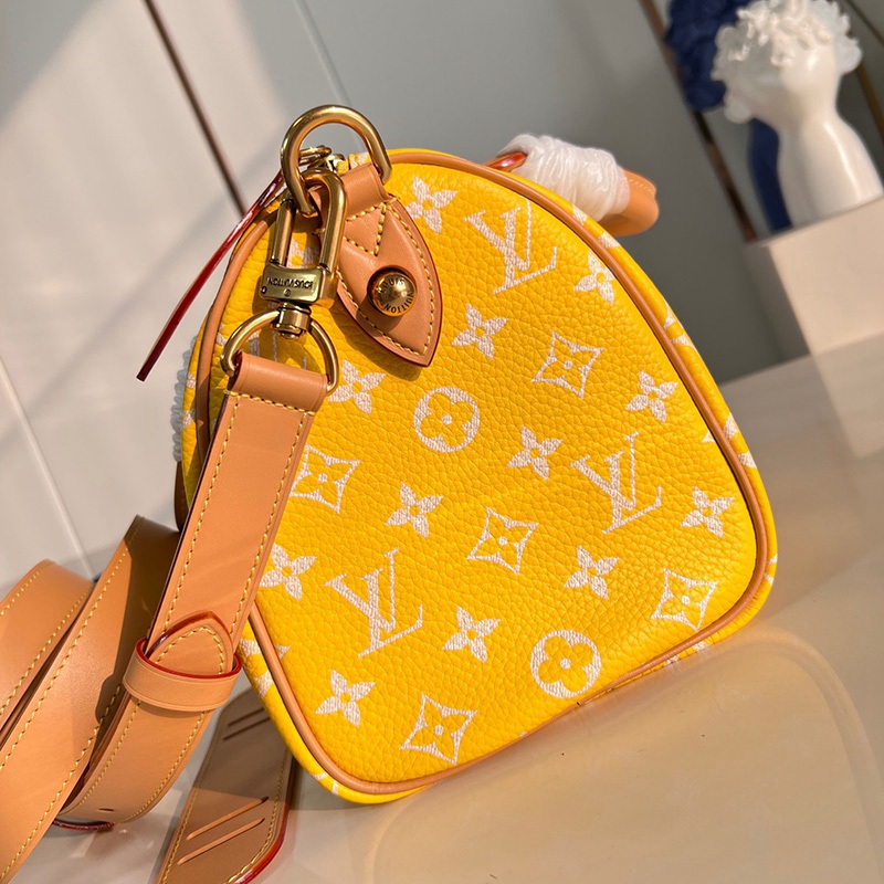 FASH LOUIS VUITTON Bags 2401YA0021