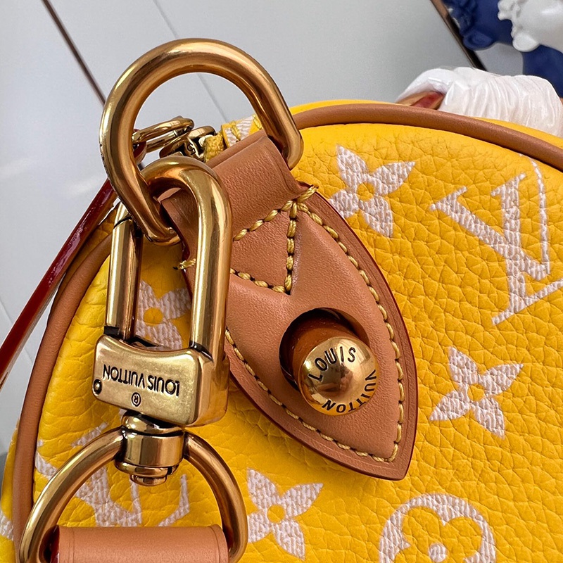 FASH LOUIS VUITTON Bags 2401YA0021