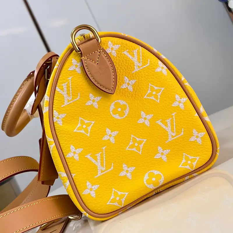 Fashionrep LV Bags 2401YA0021