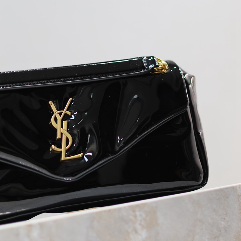 FASH YSL Bags 2401YA0047