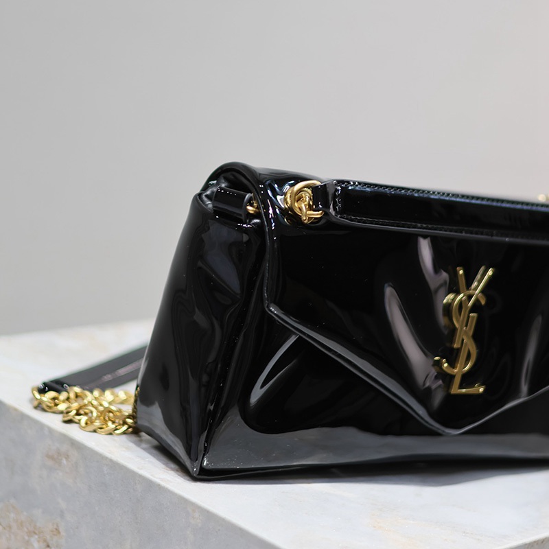 FASH YSL Bags 2401YA0047