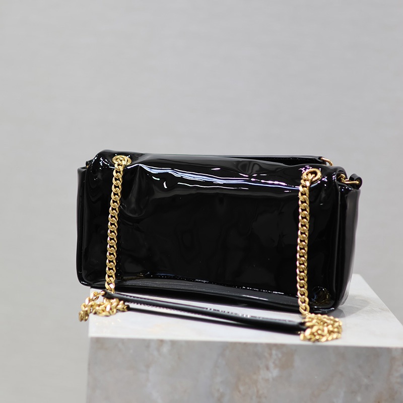 FASH YSL Bags 2401YA0047