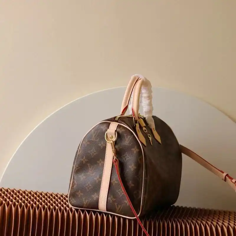 Fashionrep LV Bag 2403HT0004