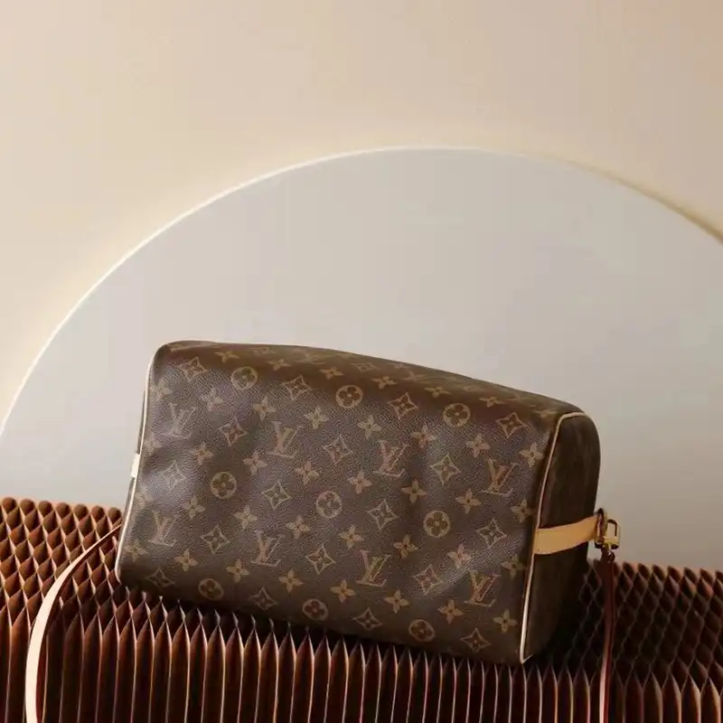 LV Bag 2403HT0004