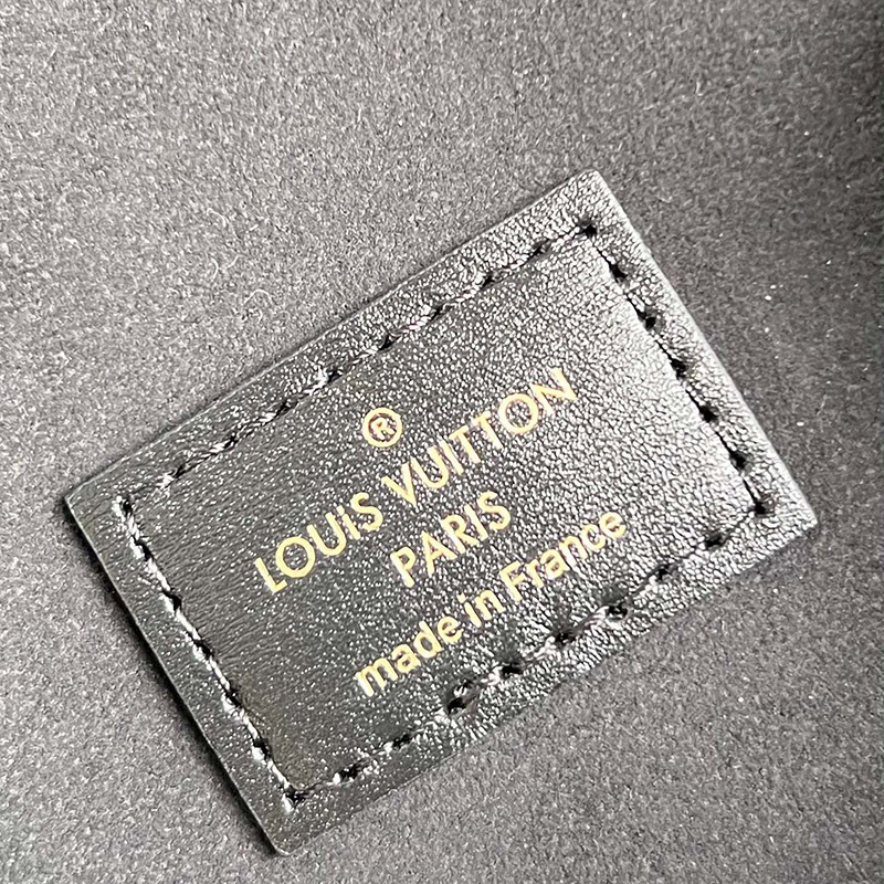 FASH LOUIS VUITTON Bags 2404YA0192