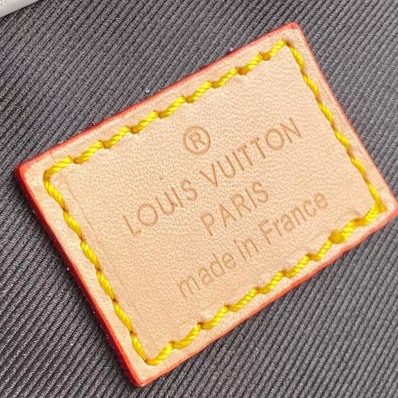 FASH LOUIS VUITTON Bags 2405YA0035