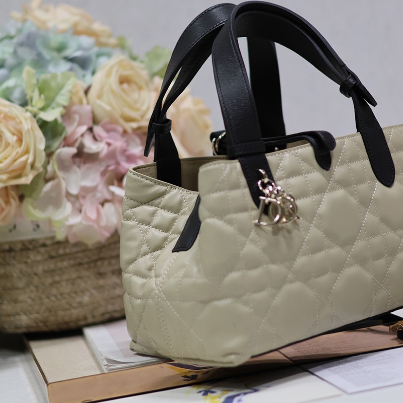 FASH Dio Bags 2405YA0151