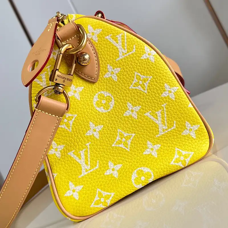 Fashionrepsfam ru LV Bags 2407YZ0163