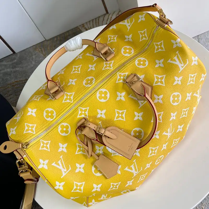 Fashionrepsfam ru LV Bags 2407YZ0167