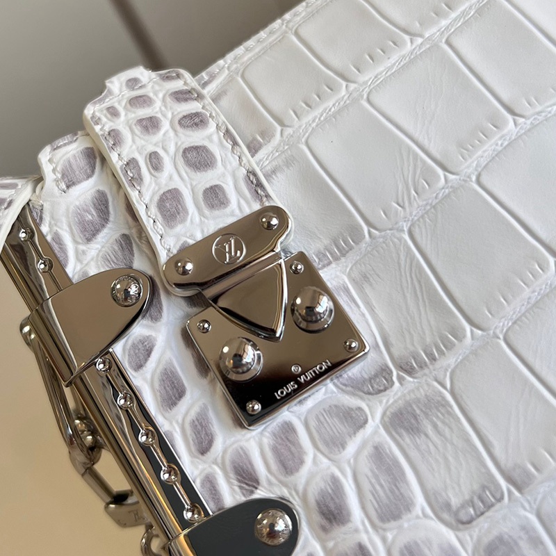 FASH LOUIS VUITTON Bags 2407YZ0179