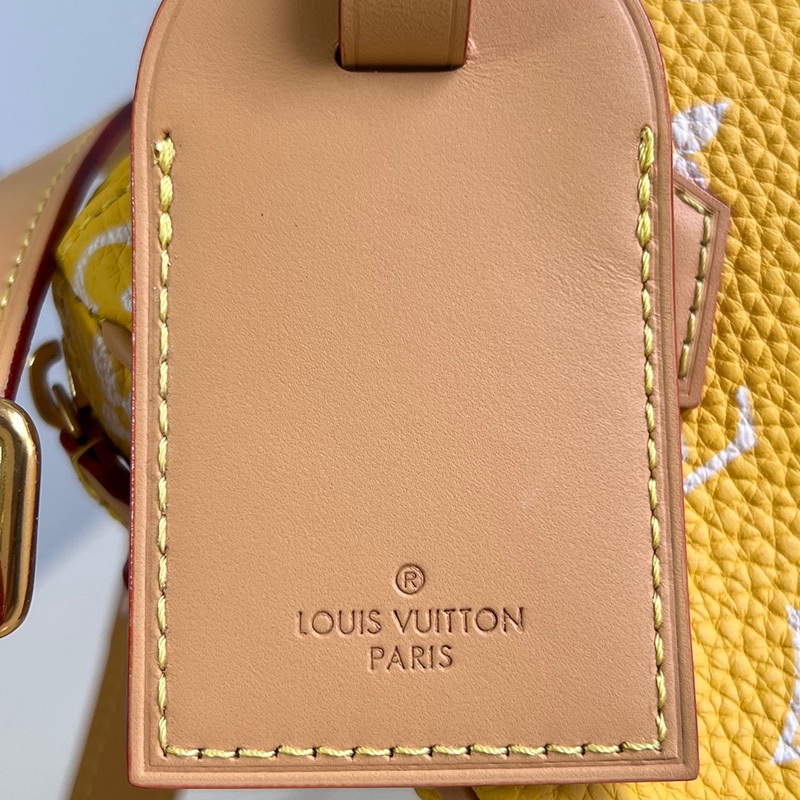 FASH LOUIS VUITTON Bags 2408YA0123