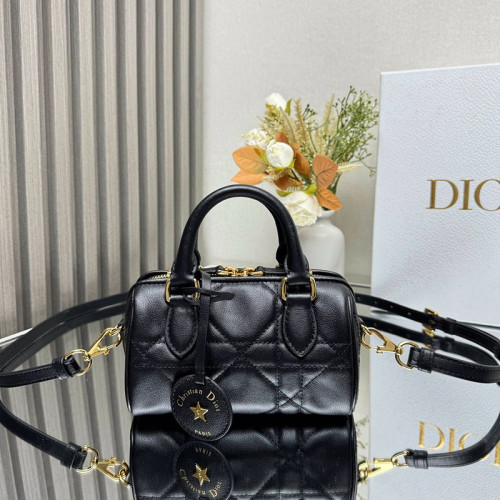 FASH Dio Bags 2408YA0126