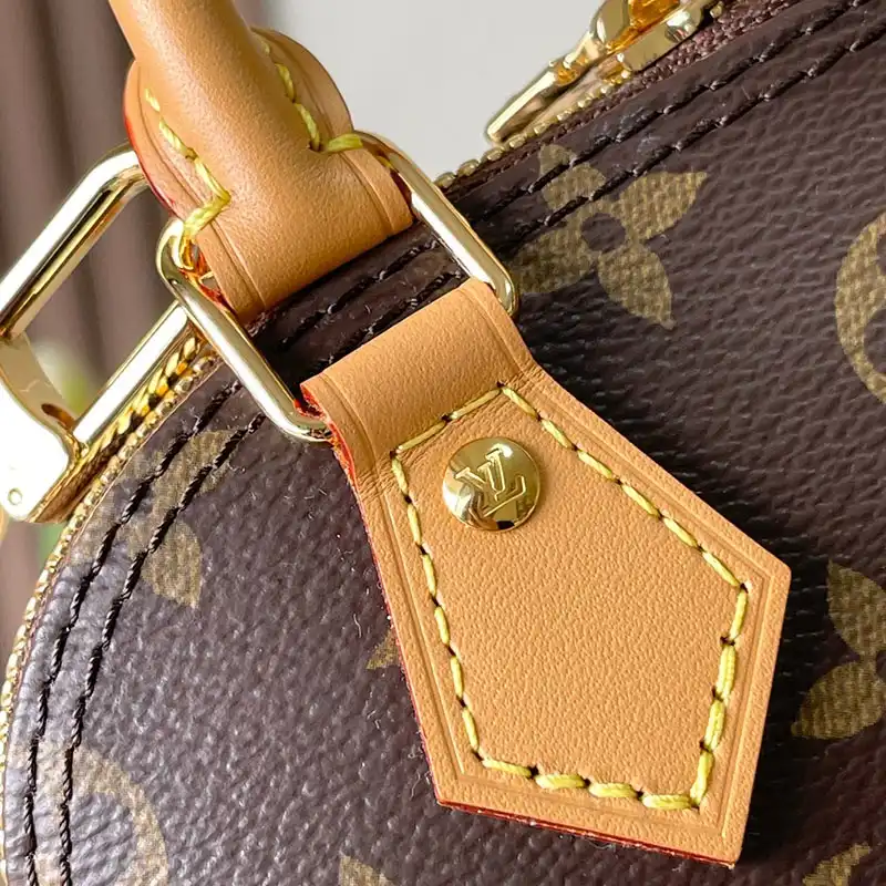 LV Bags 2409YA0100