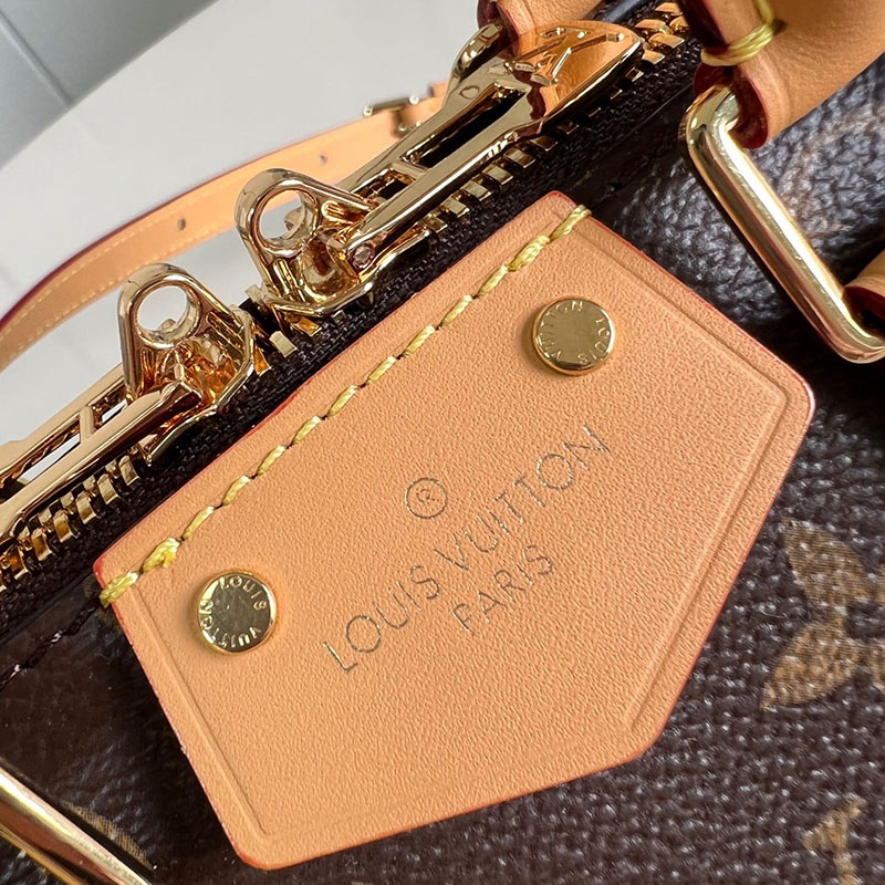 FASH LOUIS VUITTON Bags 2410YA0162