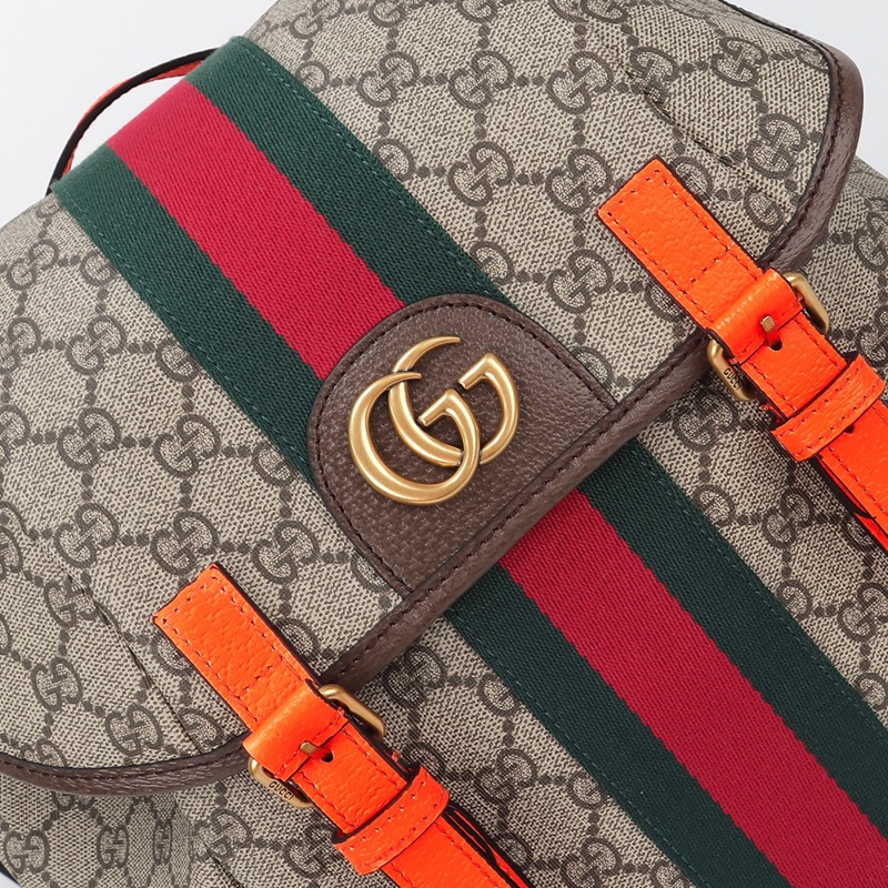 FASH Gucci Bags 2411YA0159