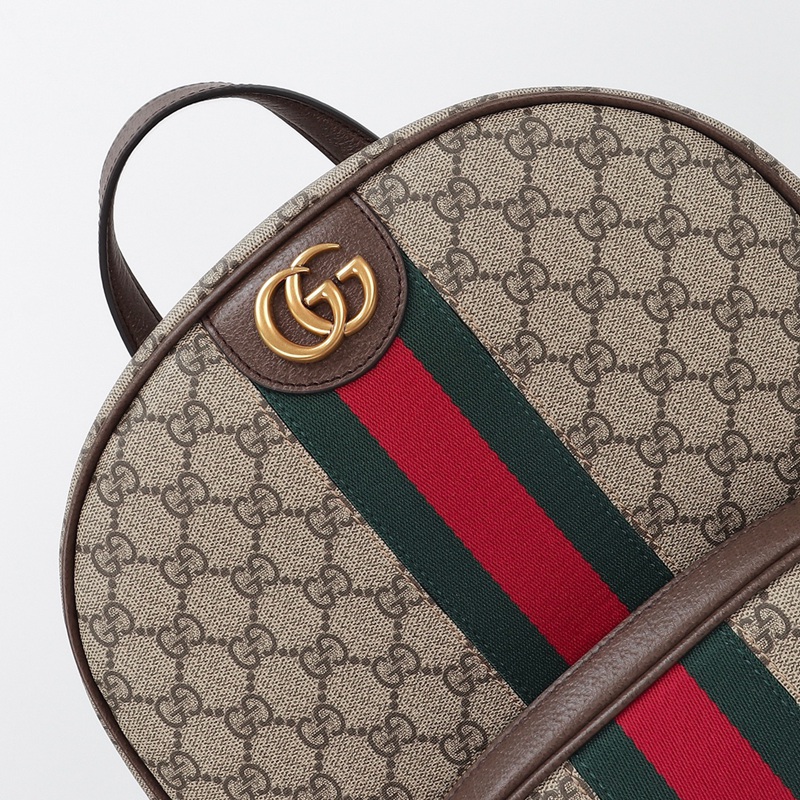 FASH Gucci Bags 2411YA0160