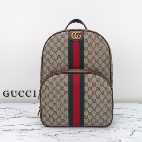 FASH Gucci Bags 2411YA0160