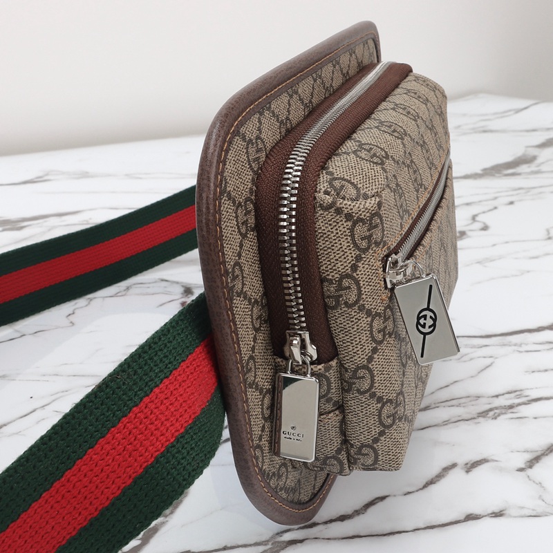 FASH Gucci Bags 2411YA0161