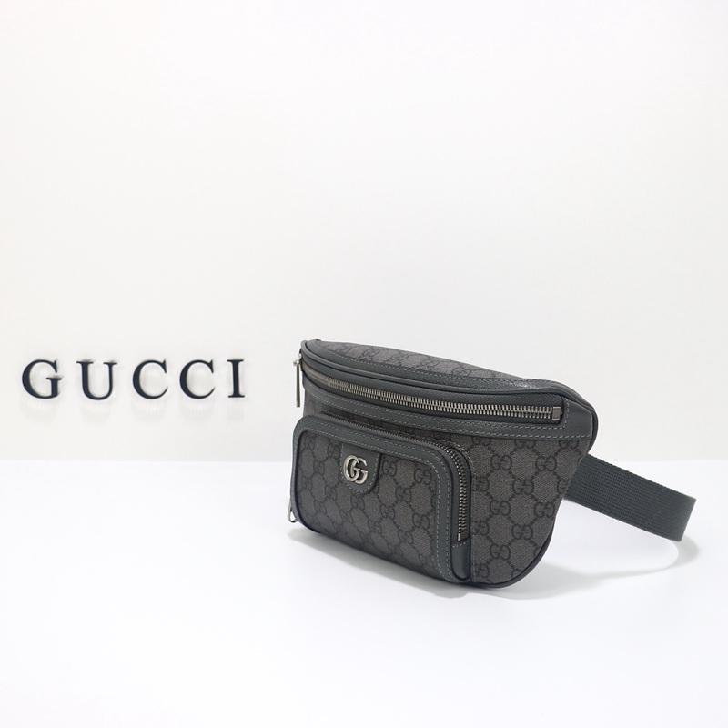 FASH Gucci Bags 2411YA0163