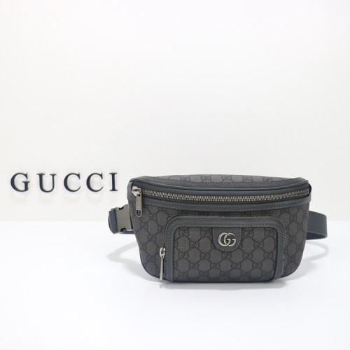 FASH Gucci Bags 2411YA0163