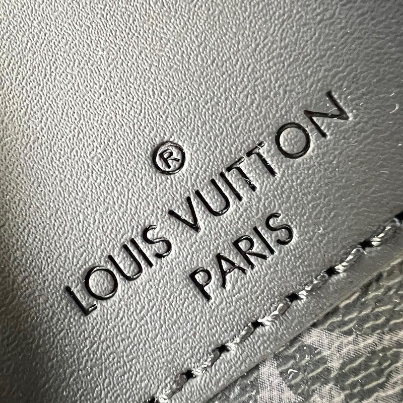 FASH LOUIS VUITTON Bags 2411YA0206