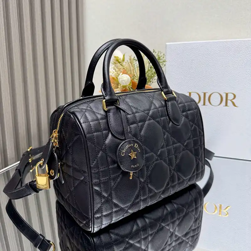 Fashionrep Dio Bags 2411YA0257