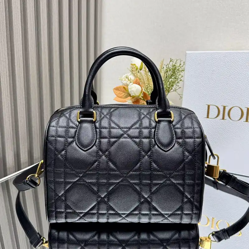 Fashionrep Dio Bags 2411YA0257